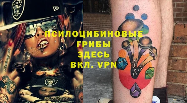 spice Аркадак