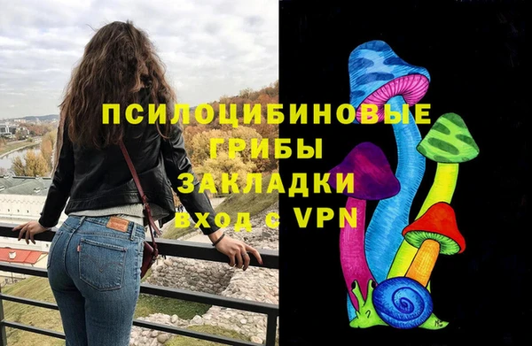 spice Аркадак