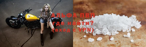 прущие грибы Армянск