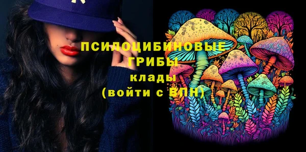 прущие грибы Армянск
