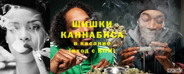 прущие грибы Армянск