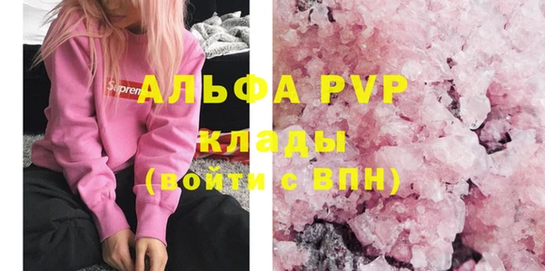 spice Аркадак