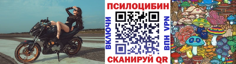 Галлюциногенные грибы мухоморы  Сураж 